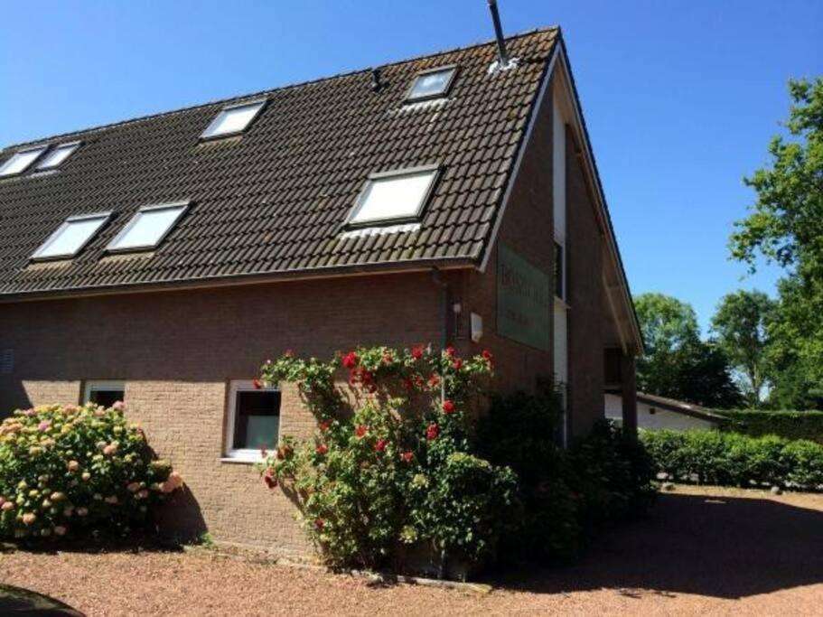 Boszicht 5 Appartement In Oostkapelle Exteriör bild